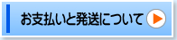 お支払いについて